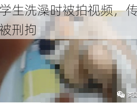 小学生洗澡时被拍视频，传播者被刑拘