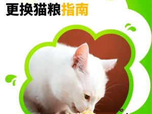 人物动物高清免费观看第 10 集：优质猫粮，营养健康，猫咪爱吃