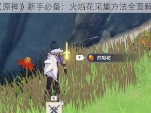 《原神》新手必备：火焰花采集方法全面解析