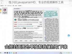 性少妇 JavaparserHD，专业的视频解析工具