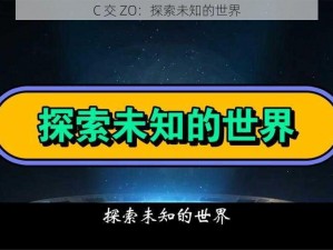 C 交 ZO：探索未知的世界