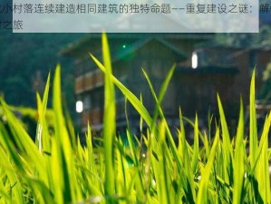 关于解忧小村落连续建造相同建筑的独特命题——重复建设之谜：解忧村落的永恒构建之旅