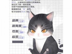 灵猫传手游攻略：灵猫使用技巧大揭秘，暗探与捕鱼实战指南