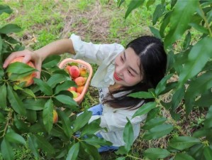 优质国产伦精一区二区一丝瓜视频，新鲜采摘，口感鲜美，营养丰富