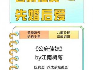 陆丰公府佳媳陆丰的 cp 小说：古风甜宠言情小说，带你领略古代 CP 的浪漫爱情