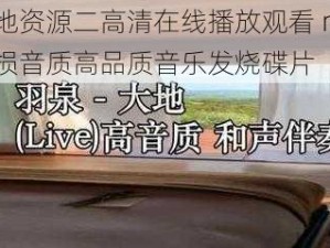 大地资源二高清在线播放观看 mv 无损音质高品质音乐发烧碟片