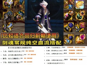 DNF回归玩家指南：如何为剑魂角色挑选最佳105级装备选择策略