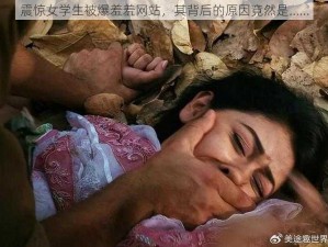 震惊女学生被爆羞羞网站，其背后的原因竟然是......