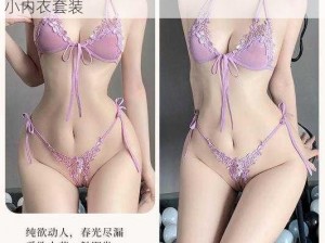 情趣内衣女性感夏薄款聚拢胸罩无钢圈大胸显小内衣套装