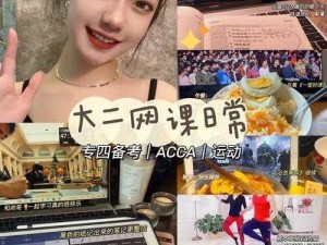 acca 少女网课视频 24：助你高效掌握 ACCA 知识的优质课程