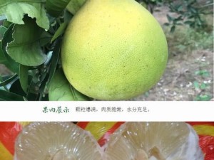 国产精品入口免费视频蜜柚：成年人的专属福利