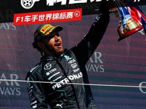 F1 2014实战指南：掌握关键小技巧，驾驭赛场新纪元