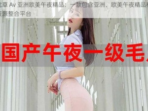 忘忧草 Av 亚洲欧美午夜精品：一款包含亚洲、欧美午夜精品视频的资源整合平台