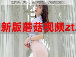 激情美女爽片，免费观看，尽在蘑菇视频