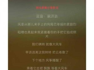 中国小鲜肉 gary2023 的歌，充满青春活力的音乐专辑