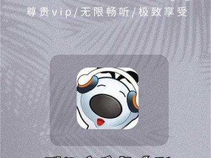 小爽音 v12 破解版免费畅享音乐的神器