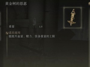 艾尔登法环Error物品丢弃指南：解决物品丢失教程