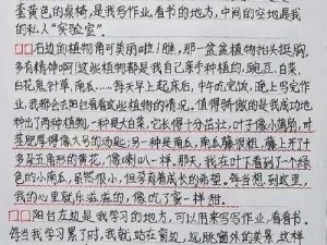 小圈实践纪实非常狠的作文 500 字：带你揭秘高效学习的秘密