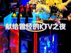 KTV 少少爷互口 KTV 少专用高品质音频线，让你畅享音乐盛宴