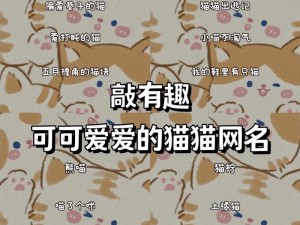 如何获取猫咪最新地域网名？