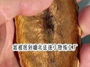 活体肉莲：真实存在的诡异人偶？