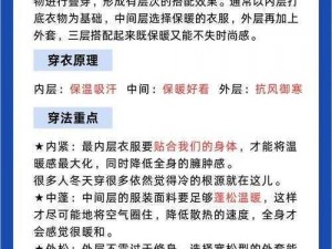 如何提高冰原守卫者的保暖值：探秘最佳保暖策略与技巧