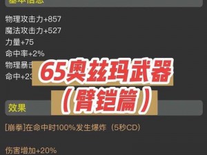 DNF手游史诗拳套与臂铠解析：探索55级武器气功与散打专属掉落地点大全