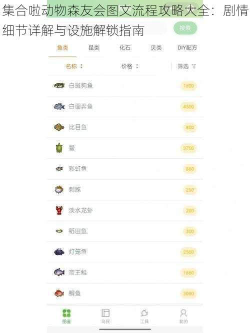 集合啦动物森友会图文流程攻略大全：剧情细节详解与设施解锁指南