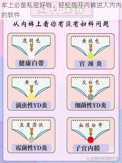 车上必备私密好物，轻松拨开内裤进入内内的软件