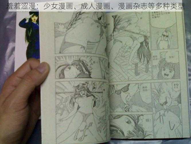 羞羞涩漫：少女漫画、成人漫画、漫画杂志等多种类型