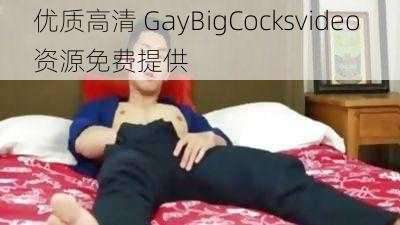 优质高清 GayBigCocksvideo 资源免费提供