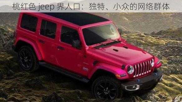 桃红色 jeep 界人口：独特、小众的网络群体