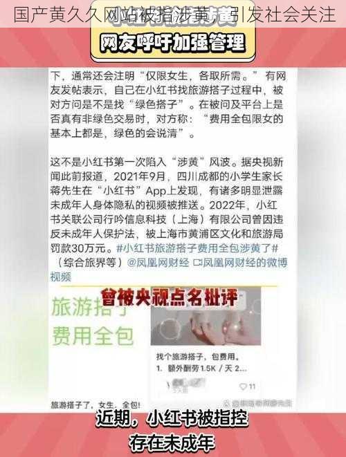 国产黄久久网站被指涉黄，引发社会关注