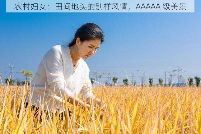 农村妇女：田间地头的别样风情，AAAAA 级美景