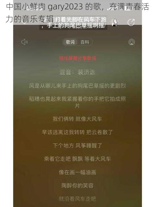 中国小鲜肉 gary2023 的歌，充满青春活力的音乐专辑