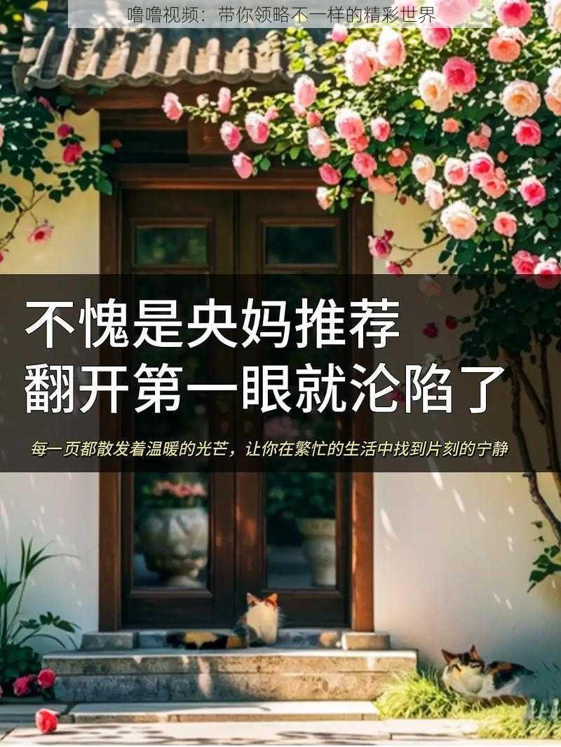 噜噜视频：带你领略不一样的精彩世界