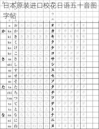 日本原装进口校花日语五十音图字帖