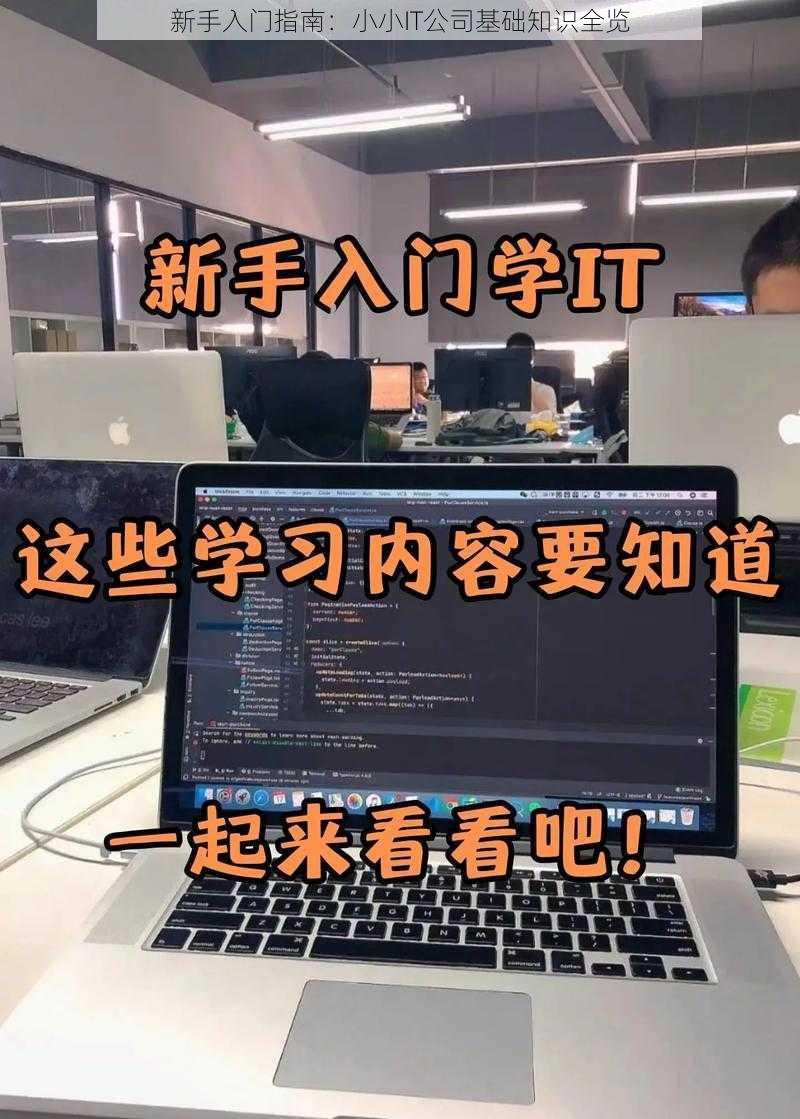 新手入门指南：小小IT公司基础知识全览