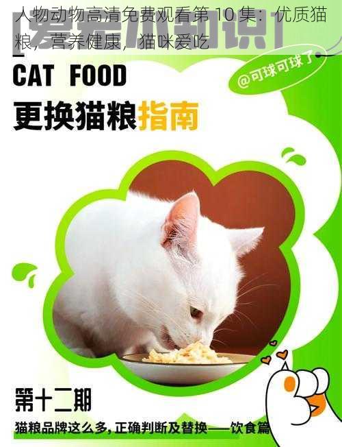 人物动物高清免费观看第 10 集：优质猫粮，营养健康，猫咪爱吃