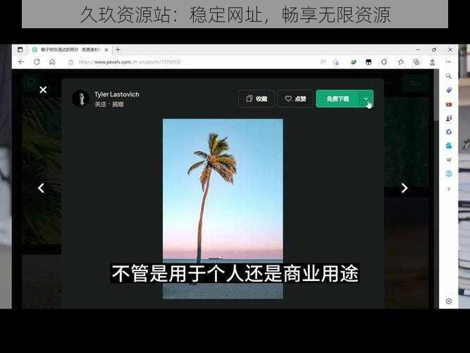 久玖资源站：稳定网址，畅享无限资源