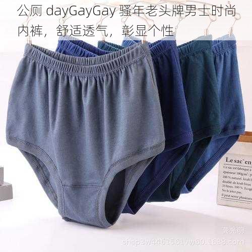 公厕 dayGayGay 骚年老头牌男士时尚内裤，舒适透气，彰显个性