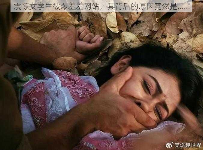 震惊女学生被爆羞羞网站，其背后的原因竟然是......