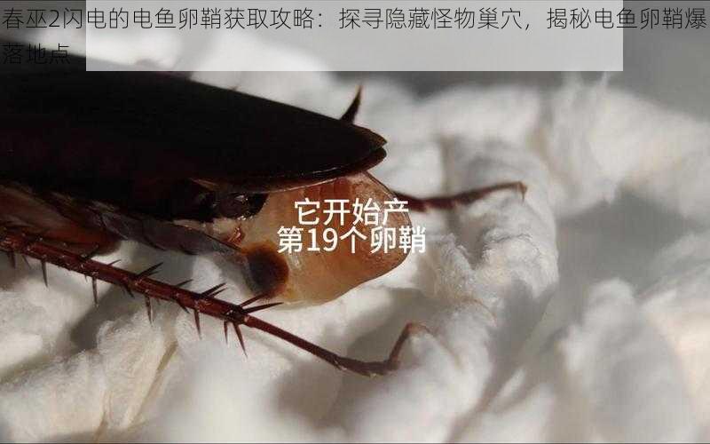 春巫2闪电的电鱼卵鞘获取攻略：探寻隐藏怪物巢穴，揭秘电鱼卵鞘爆落地点