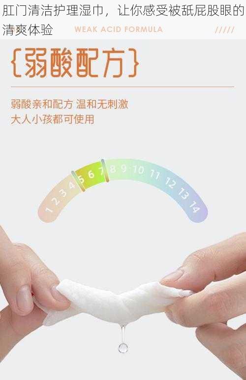 肛门清洁护理湿巾，让你感受被舐屁股眼的清爽体验