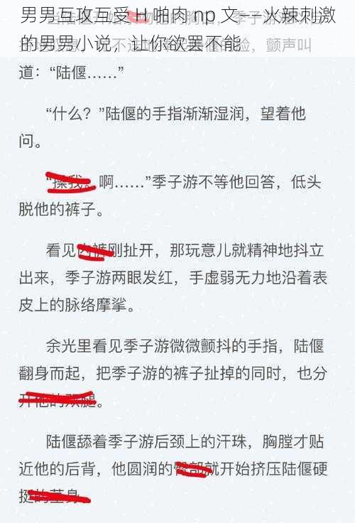 男男互攻互受 H 啪肉 np 文——火辣刺激的男男小说，让你欲罢不能