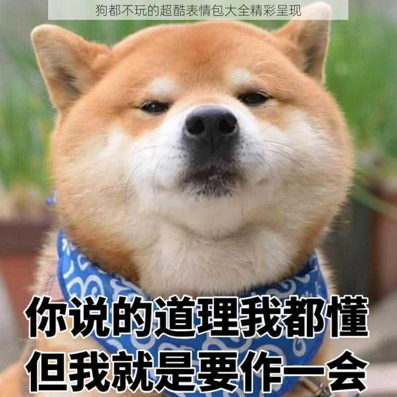 狗都不玩的超酷表情包大全精彩呈现