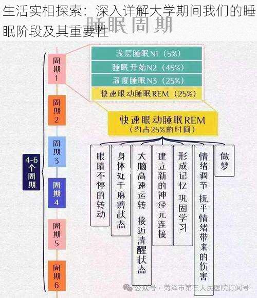 生活实相探索：深入详解大学期间我们的睡眠阶段及其重要性