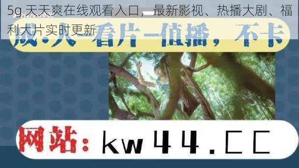 5g 天天爽在线观看入口，最新影视、热播大剧、福利大片实时更新