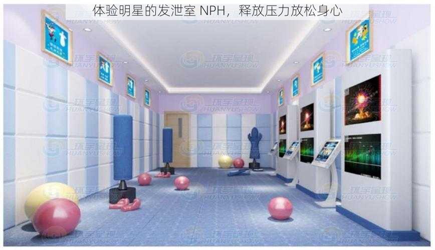 体验明星的发泄室 NPH，释放压力放松身心