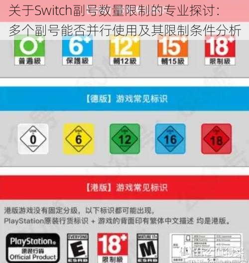 关于Switch副号数量限制的专业探讨：多个副号能否并行使用及其限制条件分析